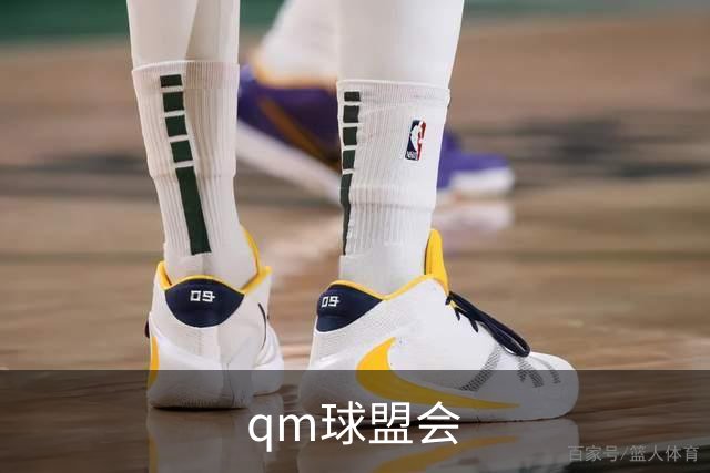 关于qm球盟会展示图